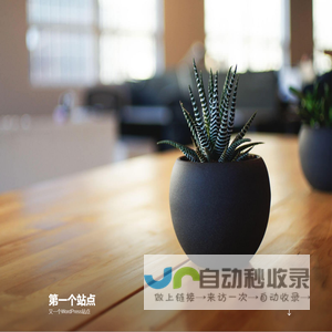 第一个站点 – 又一个WordPress站点